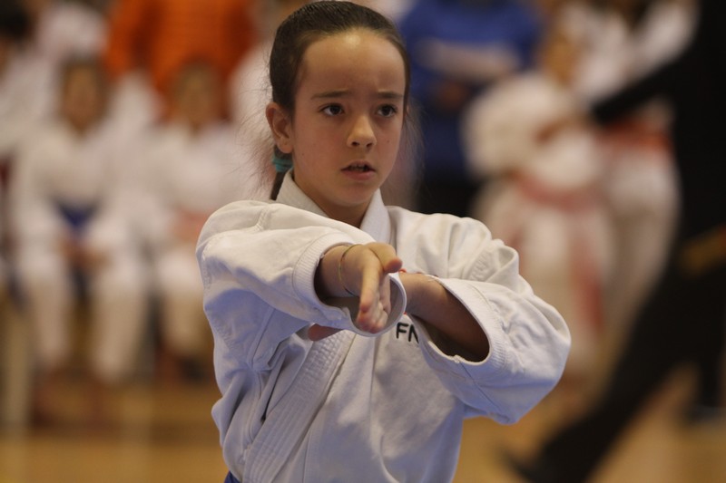 Se Completaron los Juegos Deportivos en las Categor&iacute;as Alev&iacute;n infantil y Juvenil